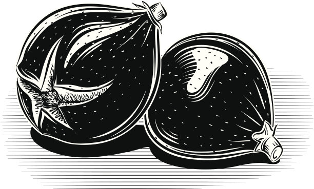 黑色的无花果图片下载