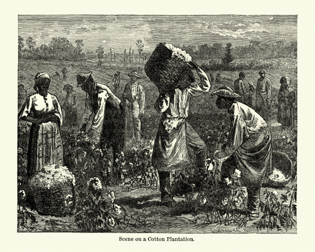 棉花种植园的景象，美国南部，19世纪图片下载