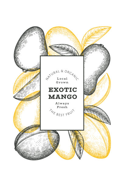 手绘素描风格的芒果旗帜有机图片下载