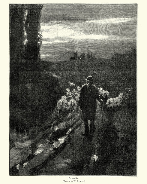 黄昏时分，维多利亚牧羊人和他的羊群图片下载