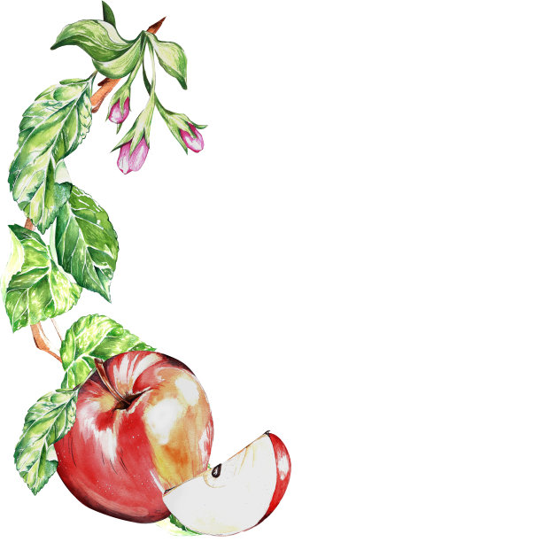 水彩。熟透的红色多汁苹果用于明信片、包装的设计图片下载