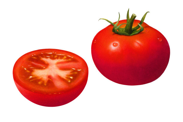番茄半图片下载