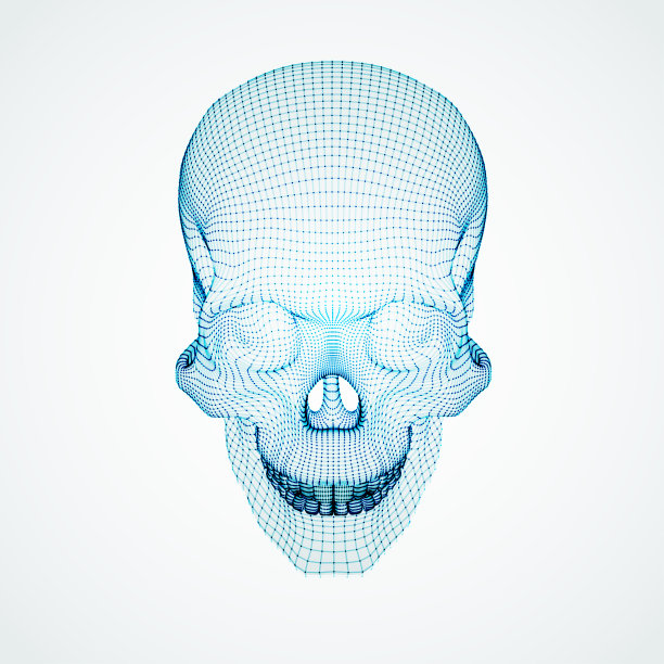 三维颅骨。Ware mesh从3d应用程序。图片下载