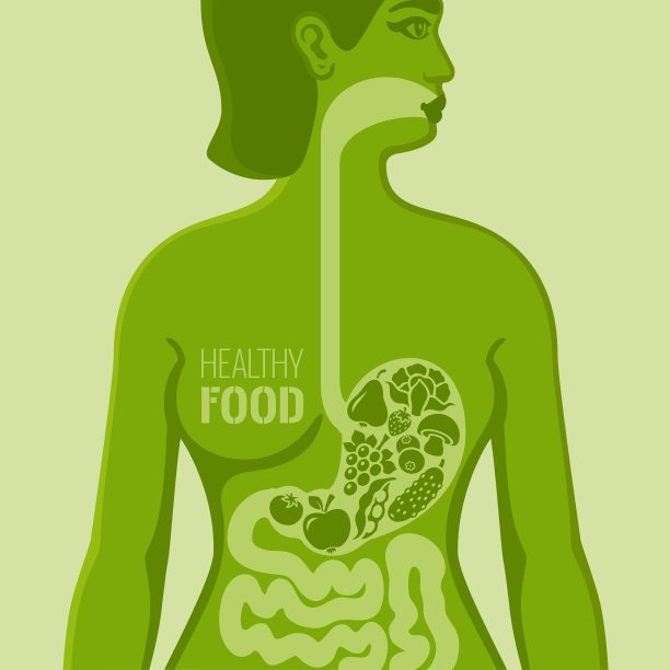 女性身体与健康食品图片下载