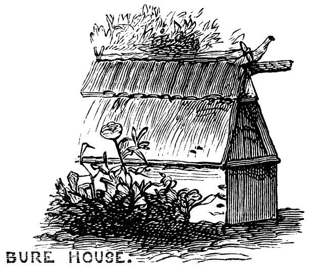 斐济布尔别墅- 19世纪图片下载