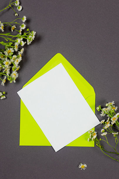 绿色信封和空白的白色卡片在灰色背景上的文字图片下载