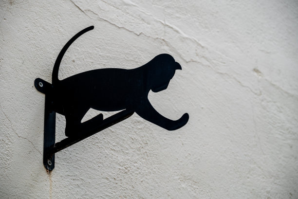 黑色金属猫的剪影作为房子的装饰。图片下载