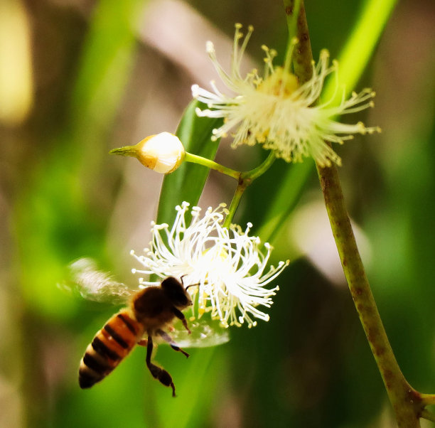 在阴凉处图片下载