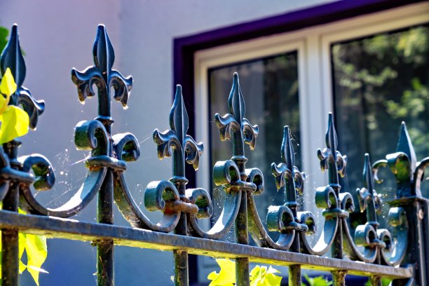 德国，窗户前插满鲜花的金属栅栏特写。图片下载