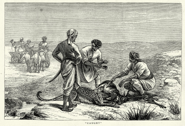 复古插图，猎人用圈养的猎豹捕猎羚羊，19世纪70年代，19世纪历史图片下载
