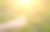 在户外，把树叶放在孩子们的手里图片下载