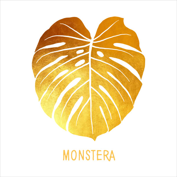 手绘金箔Monstera叶孤立。热带花卉夏季背景。党传单模板。设计元素的销售横幅，海报，标签和邀请卡。图片下载