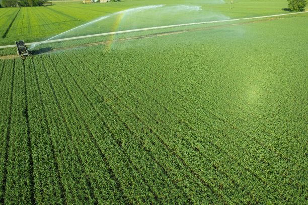 农村农田种植大蒜使用软管卷筒系统从运河抽水。在意大利最广泛用于全农田灌溉。图片下载