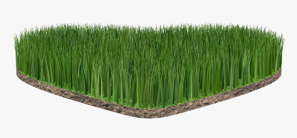 绿色草坪心形白底，环保，3d渲染图片下载