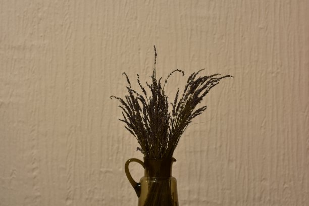 白墙上的花瓶里插着薰衣草枝图片下载