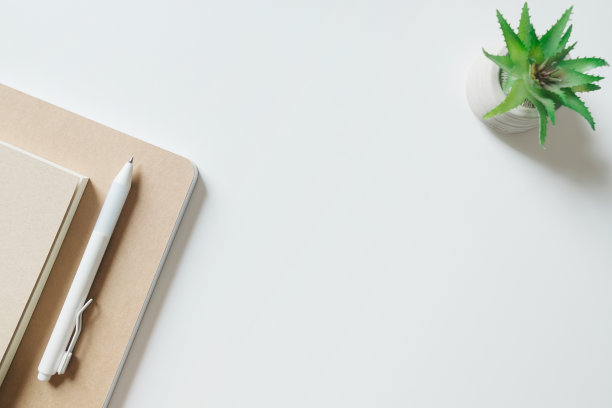 工作空间，笔记本，笔和仙人掌在白色的背景。图片下载