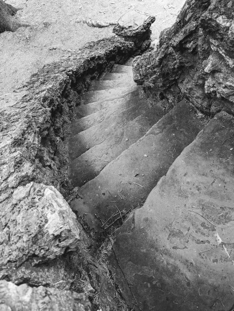 领导下图片下载