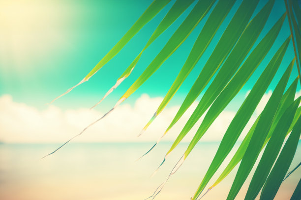 模糊美丽的自然绿色棕榈叶在热带海滩与散景太阳光波抽象背景。复制空间的暑假和商务旅行的概念。复古色调滤镜效果色彩风格图片下载