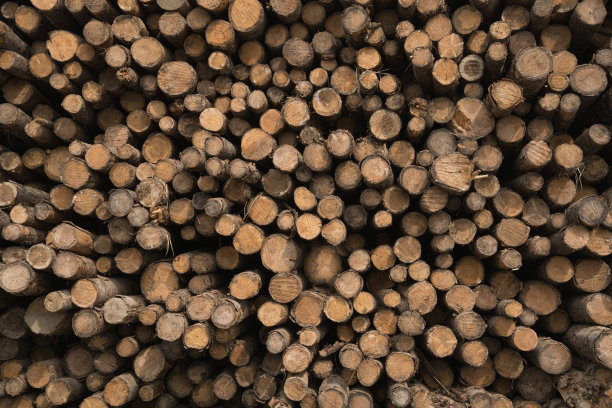 纹理背景-锯原木，木桩图片下载