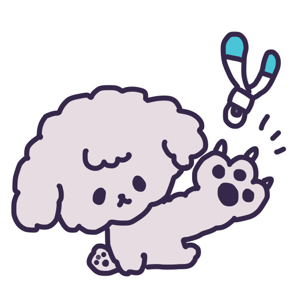 一只可爱的玩具狮子狗的指甲被剪短了图片下载