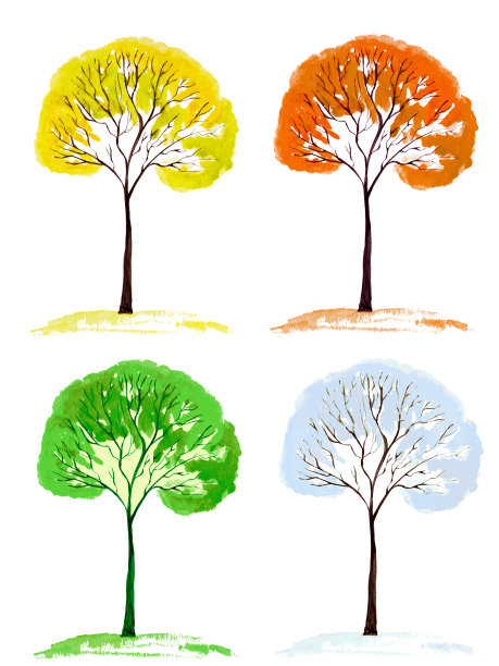 白色背景下的树图片下载