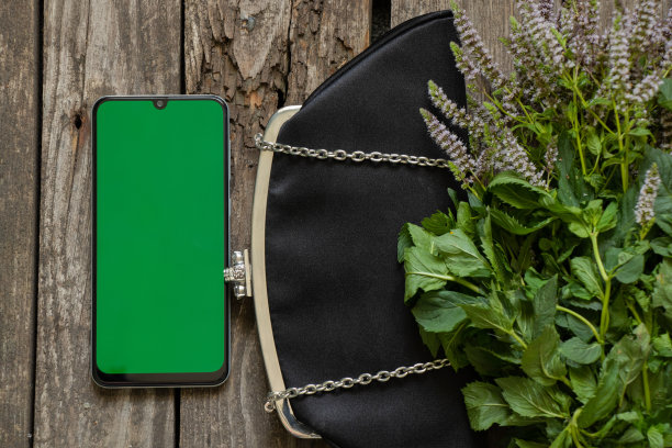 黑色小包和绿屏手机，旧木桌上放着一束薄荷图片下载