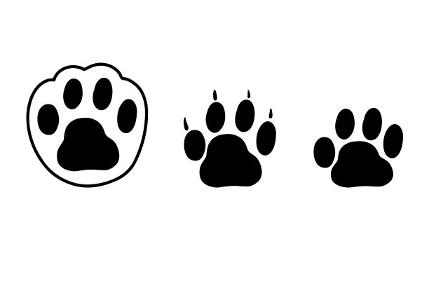 爪印。有爪子的爪印。动物的踪迹。猫，狗，貂，狮子，老虎，熊的爪印。矢量黑色图标插图在白色背景。图片下载