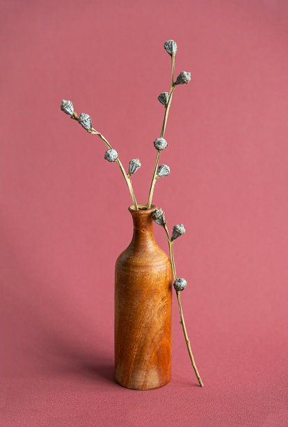 木瓶里的干花。极简静物。图片下载