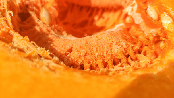 南瓜纹理图片下载