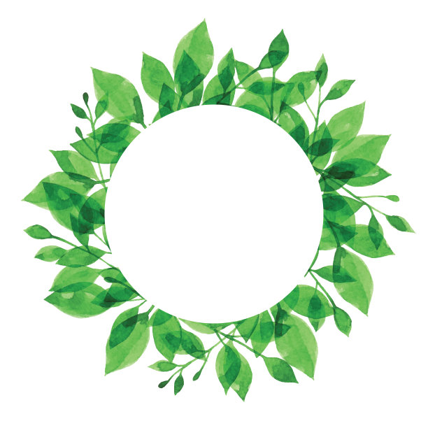 水彩绿色树枝框架与白色的圆圈图片下载