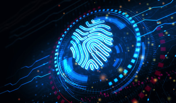 指纹网络身份安全和身份符号数字概念三维图解图片下载