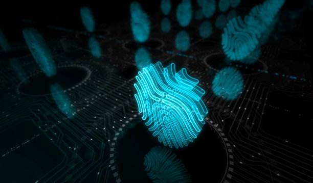 指纹网络身份安全和身份符号数字概念三维图解图片下载