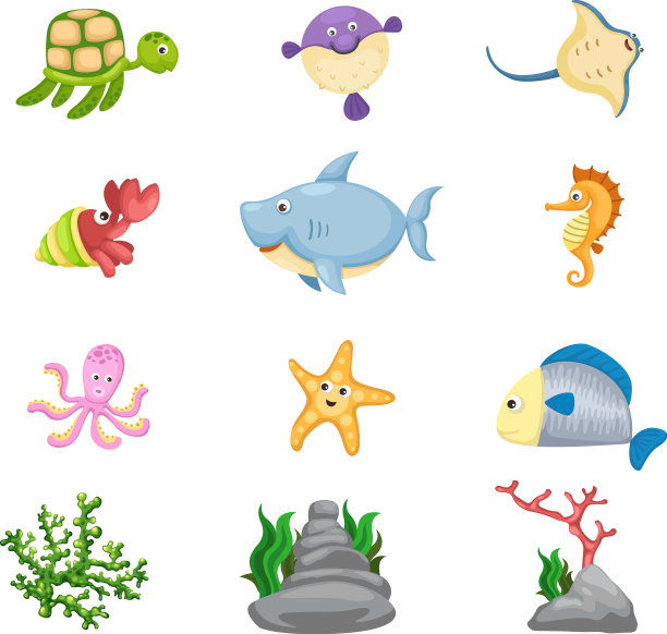 海洋生物图片下载
