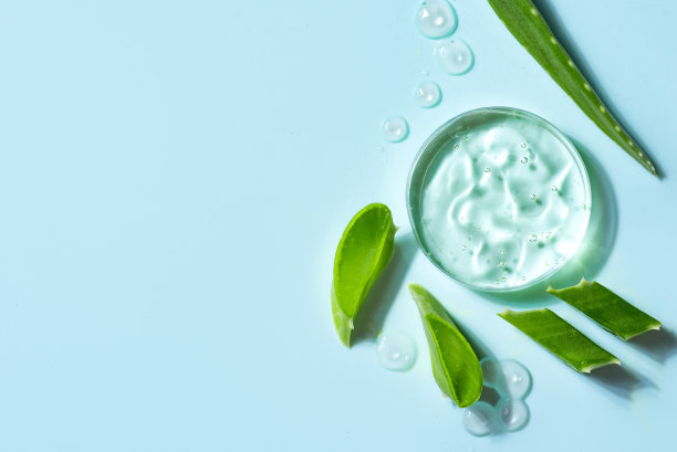 绿色背景上的绿叶图片下载