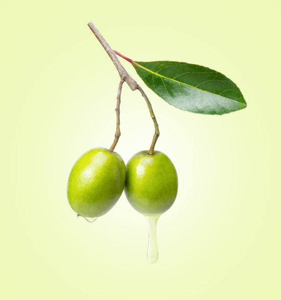 橄榄油图片下载