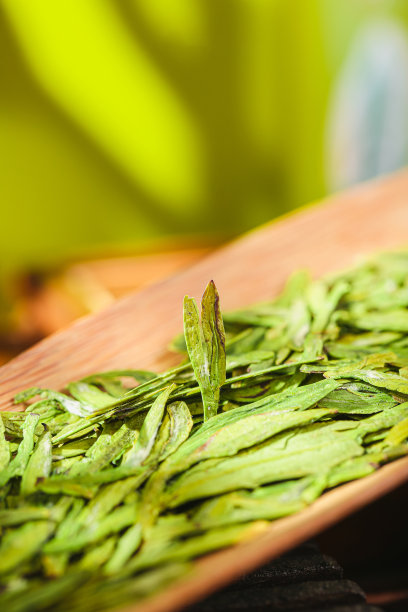 安吉白茶是中国绿茶品种之一，浙江省湖州市安吉县特产，国家地理标志产品图片下载