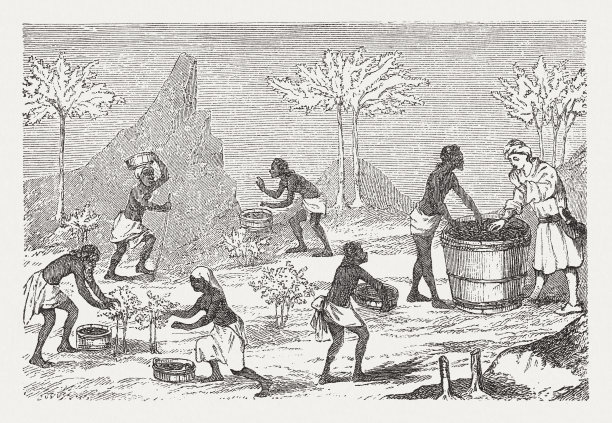 胡椒收获(中世纪微型)，木刻，1888年出版图片下载