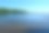 在一个阳光明媚的夏日里，在波兰的森林或荒野旁，一棵高大的树掉进了一个巨大而浅的河流或湖泊，旁边是一个长满草和沙子的水库海岸图片下载
