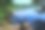 在一个阳光明媚的夏日里，在波兰的森林或荒野旁，一棵高大的树掉进了一个巨大而浅的河流或湖泊，旁边是一个长满草和沙子的水库海岸图片下载