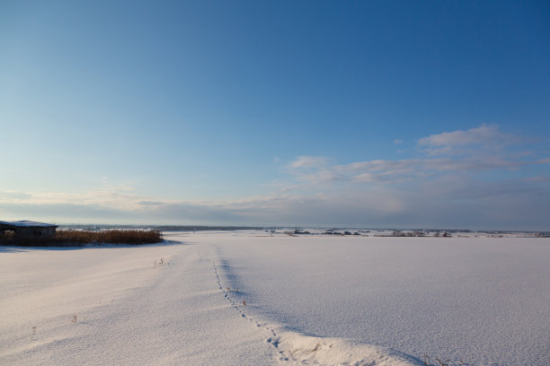 雪地上的脚印图片下载