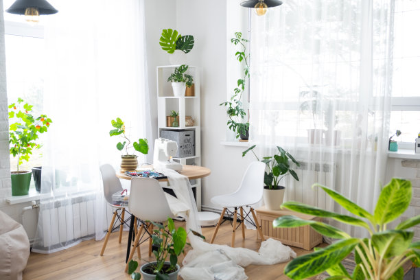 缝纫机放在白色的圆桌上，房子内部靠近窗户的地方有透明的窗帘，还有一盆家里的植物——一个现代的室内。爱好，家庭生意图片下载