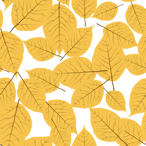 秋叶无缝图案图片下载