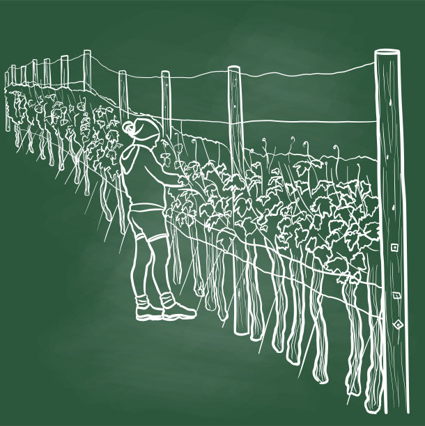 在黑板上写字的人图片下载