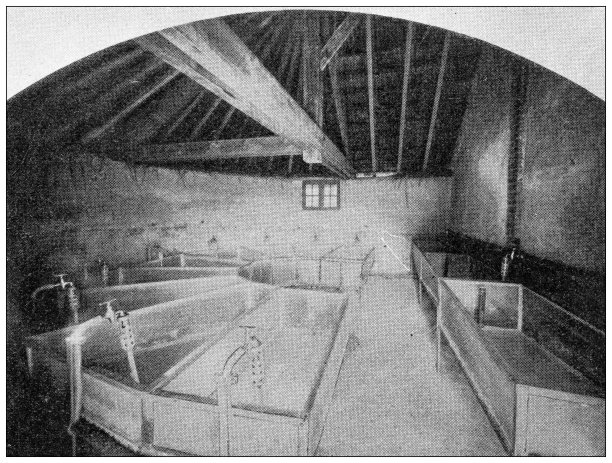 古董插图:养鱼水族馆，贝塞蒙特图片下载