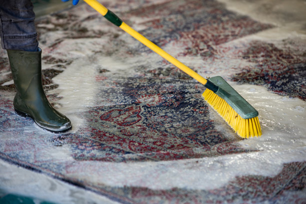 用毛刷清洗地毯。图片下载