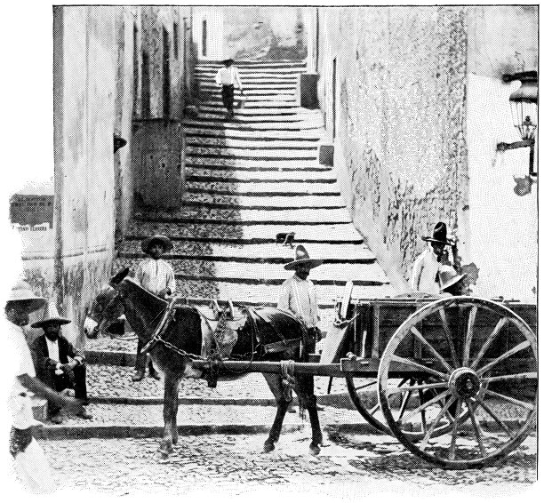 墨西哥瓜纳华托市的驴车——19世纪图片下载