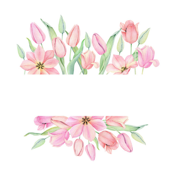 水彩粉红色郁金香花环。花框架孤立在白色背景。图片下载