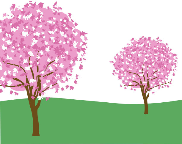 樱花树背景图片下载