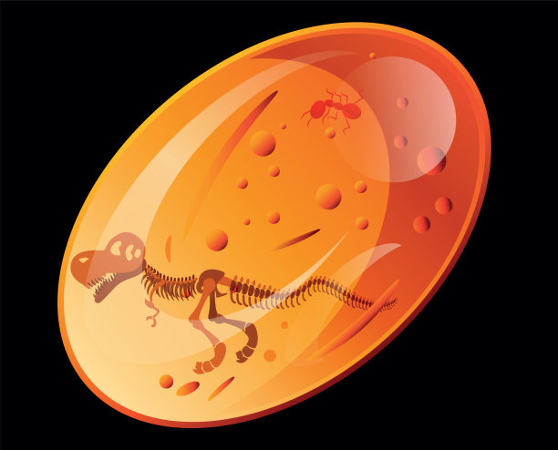 琥珀化石，俄罗斯，加里宁格勒，西伯利亚，泰米尔，切卡尔达河，乌拉尔山脉，美国，堪萨斯，阿肯色，加利福尼亚州，新墨西哥州，得克萨斯州，怀俄明州，爱沙尼亚，拉脱维亚，挪威，瑞典，多米尼加，委内瑞拉，法国，德国，英国，墨西哥图片下载