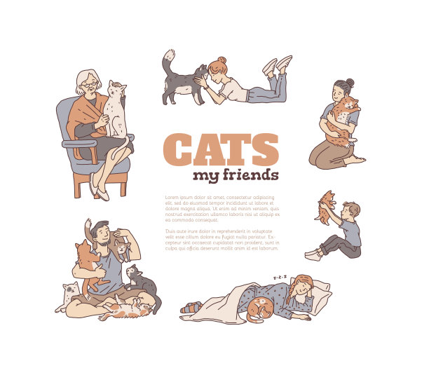 人没有纯种猫的横幅轮廓图片下载